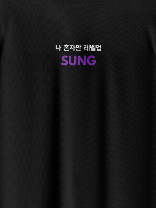 sung jin woo front zoom