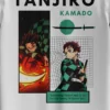 tanjiro back zoom